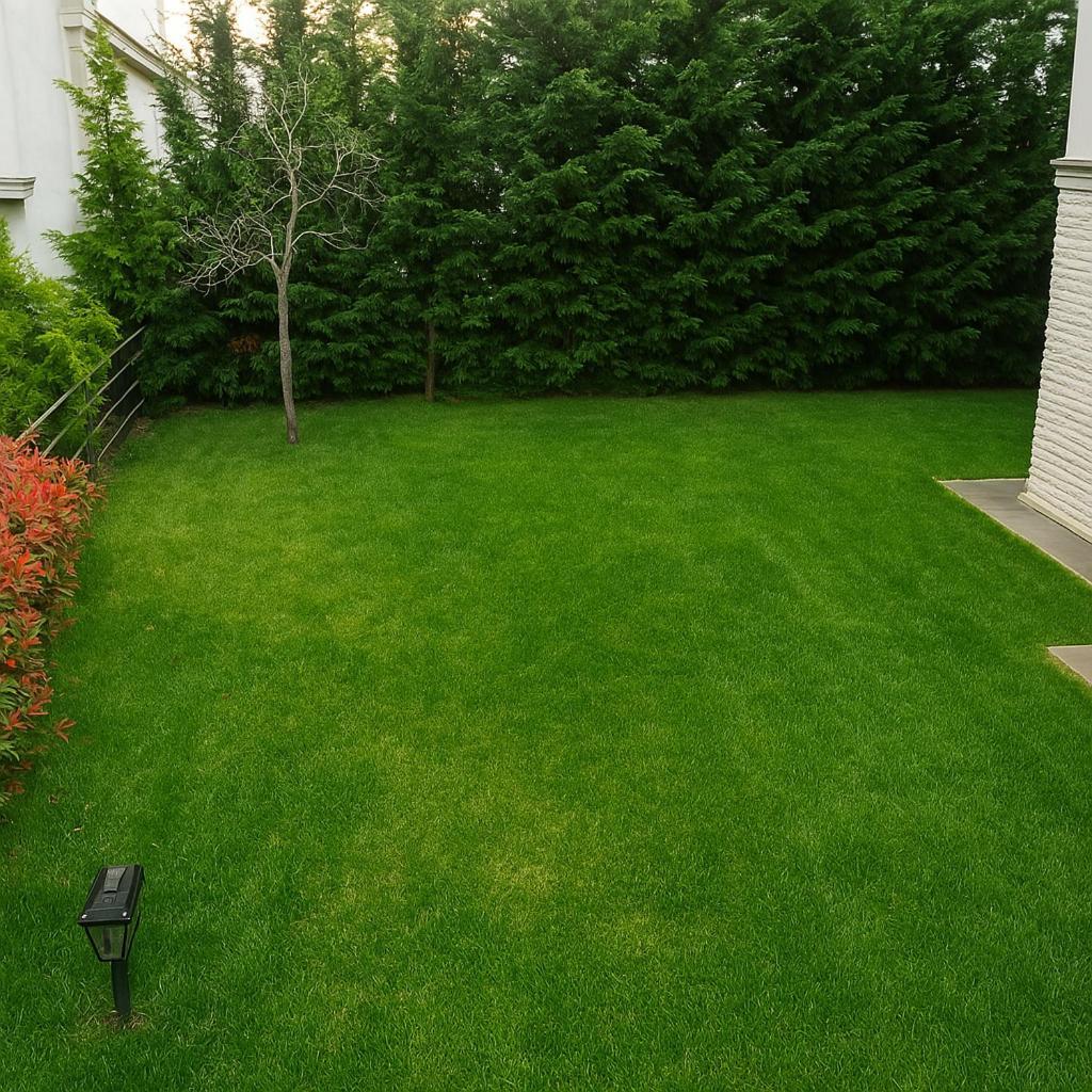 Nora Marmara Luxury Villas In Istanbul بيوكجكمجة المظهر الخارجي الصورة